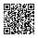 To view this 2013 Ford E-Series Wagon Boca Raton FL from Supreme Motors, please scan this QR code with your smartphone or tablet to view the mobile version of this page.