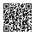 To view this 2014 Ford E-Series Wagon Boca Raton FL from Supreme Motors, please scan this QR code with your smartphone or tablet to view the mobile version of this page.
